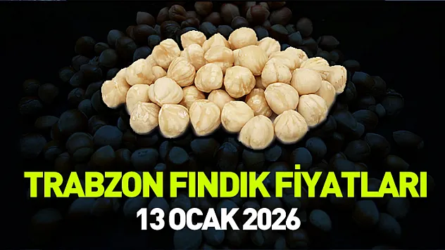 13 Ocak 2026 Trabzon'da Fındık Fiyatları