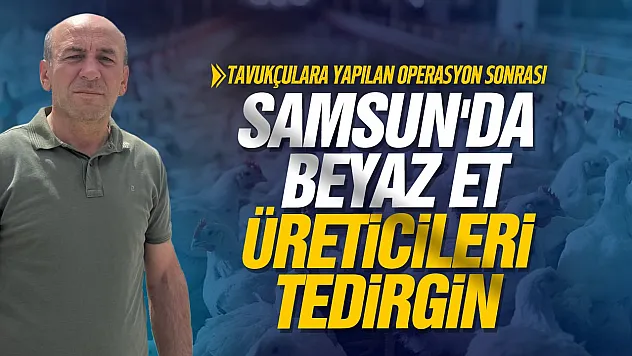 13 şirkete kayyum Samsun'da üreticiyi tedirgin etti