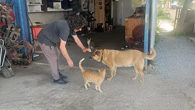 13 yıldır kör köpeğine babalık yapıyor