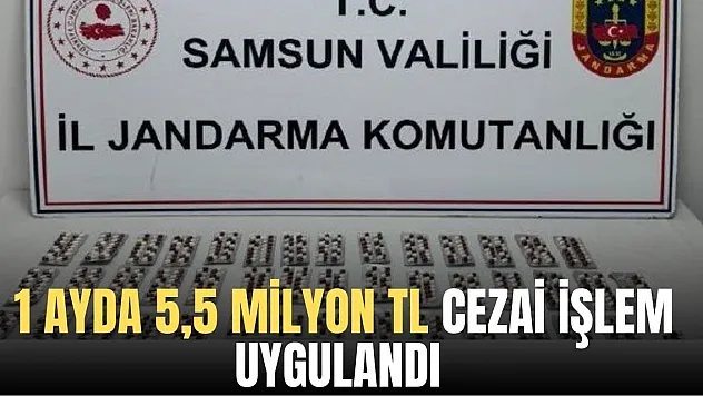 1 ayda 5,5 milyon TL cezai işlem uygulandı