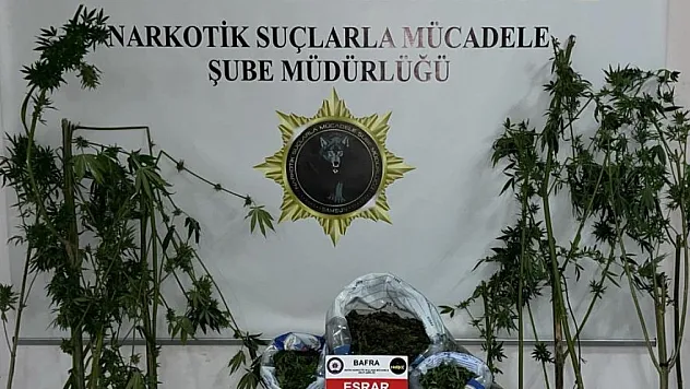 Samsun'da uyuşturucu operasyonu: 2 gözaltı