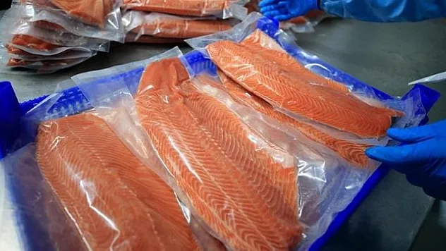 İhracat, 351,3 milyon doları aştı