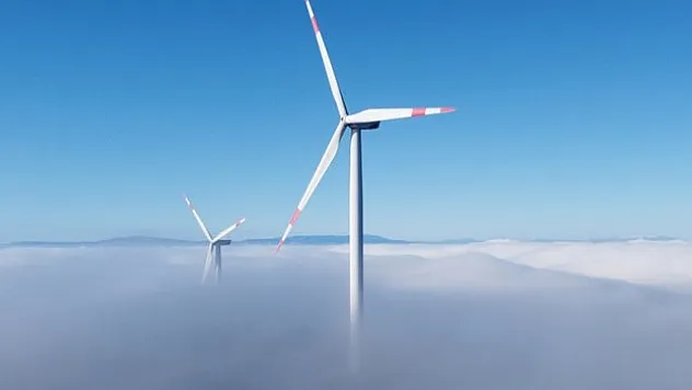 16 milyon avroluk ekonomik hareketlilik