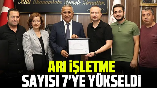 Samsun'da Arı İşletme Sayısı 7'ye Yükseldi