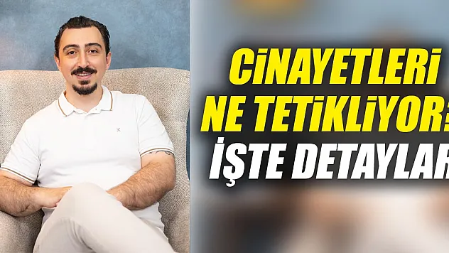 Cinayetleri ne tetikliyor? İşte detaylar