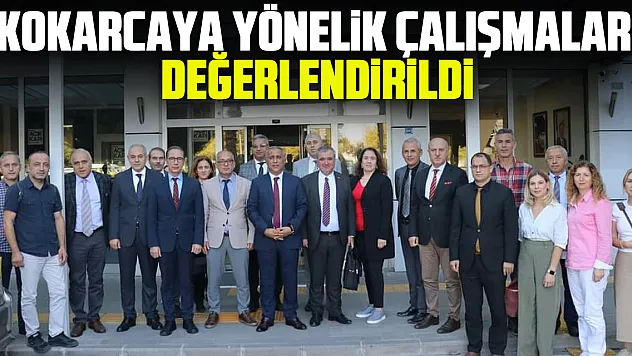 Kokarcaya Yönelik Çalışmalar Değerlendirildi