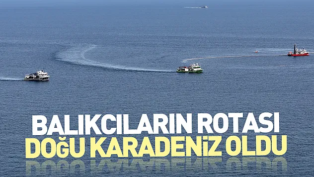Balıkçıların rotası, Doğu Karadeniz oldu