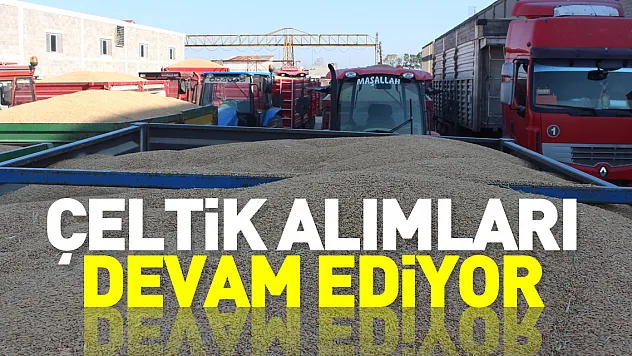 ÇELTİK ALIMLARI DEVAM EDİYOR