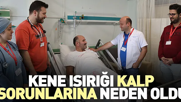 KENE ISIRIĞI KALP SORUNLARINA NEDEN OLDU