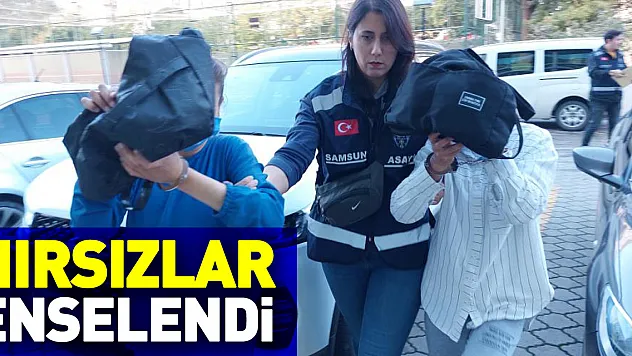 HIRSIZLAR ENSELENDİ