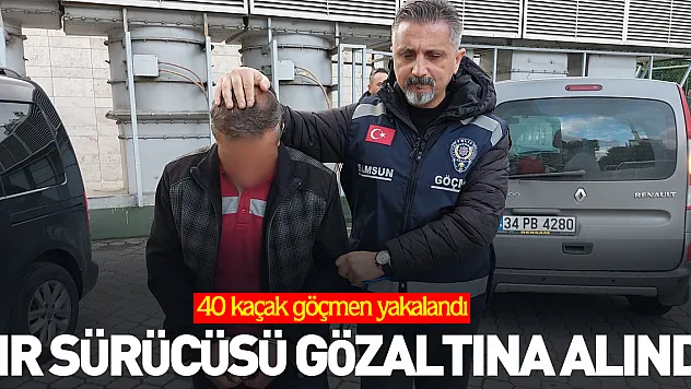 Tır sürücüsü gözaltına alındı