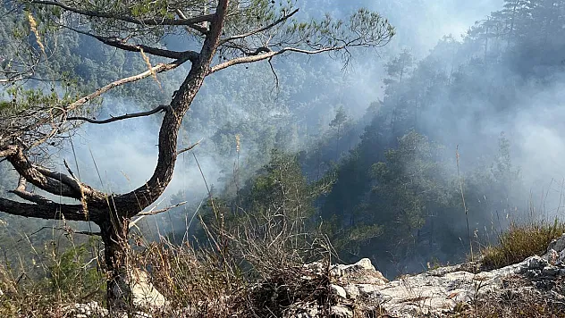 Orman yangınında 23, satı gerimizde bıraktık