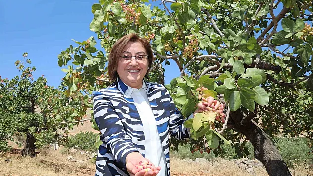 Dünyanın en iyi kuruyemişleri arasında antep fıstığı sıralamada ikinci sırada