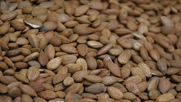 10 milyon dolar gelir elde edildi