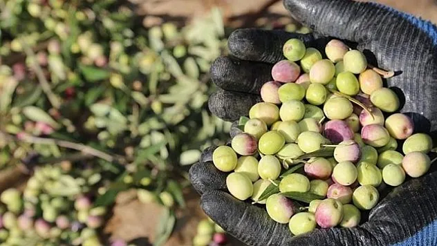 Fiyatlar açıklandı