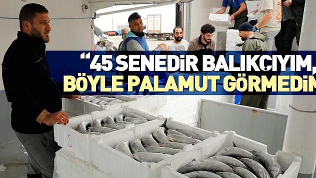 '45 senedir balıkçıyım, böyle palamut görmedim'