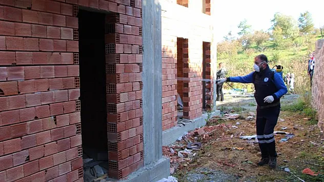 Türkiye'de Kahverengi kokarca zararlısı için Samuray arısı üretimi arttırıldı