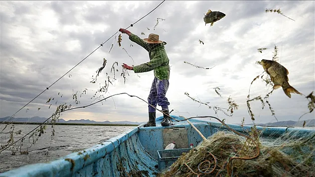 Tarım ve Orman Bakanlığı 158 bin denetim gerçekleştirecek