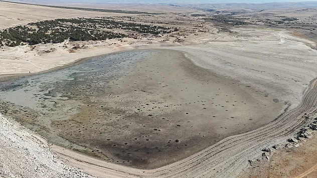 Su seviyesi düşen barajda balıklar can çekişiyor