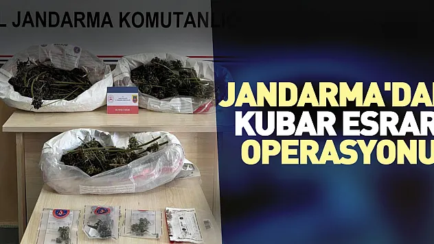 Jandarma'dan kubar esrar operasyonu