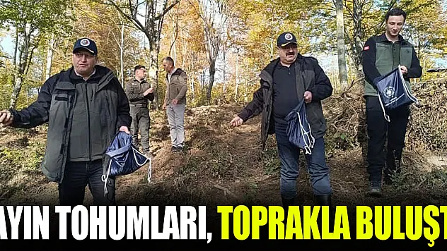 Kayın Tohumları, toprakla buluştu