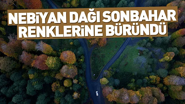Nebiyan Dağı'nda sonbahar manzarası