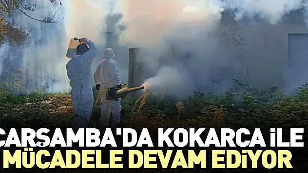 ÇARŞAMBA'DA KOKARCA İLE MÜCADELE DEVAM EDİYOR