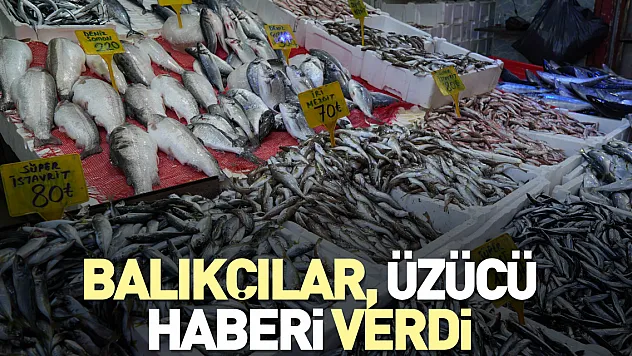 Balıkçılar, üzücü haberi verdi