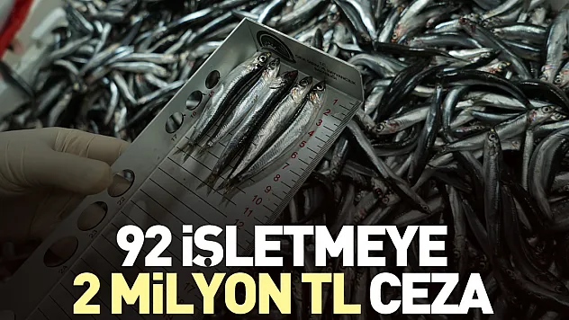 92 işletmeye 2 milyon TL ceza