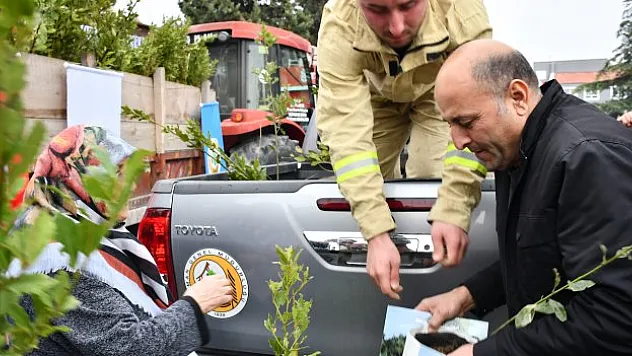 Vatandaşlara 5 bin fidan