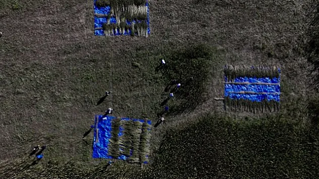 Kenevir katma değerli ürünlere dönüşecek