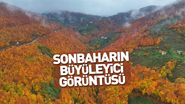 Sonbaharın büyüleyici görüntüsü