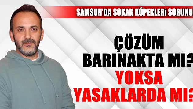 Çözüm Barınakta mı? Yoksa Yasaklarda mı?'