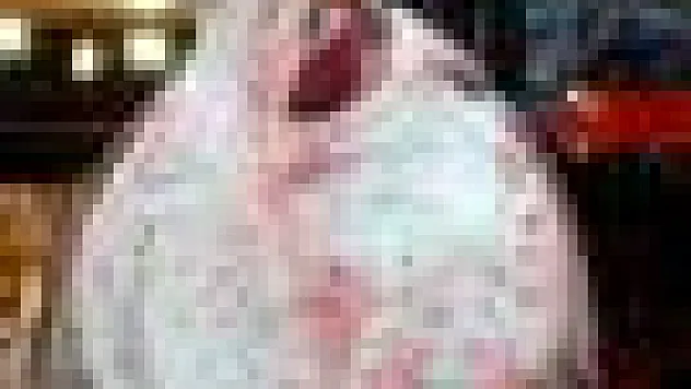 Karadeniz'de dev kalkan bereketi