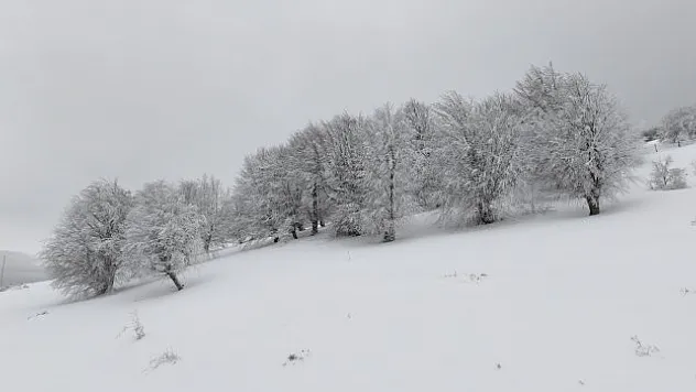 Kocadağ Yaylası beyaza büründü