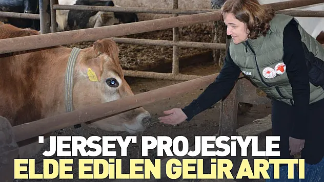 'Jersey' projesiyle elde edilen gelir arttı