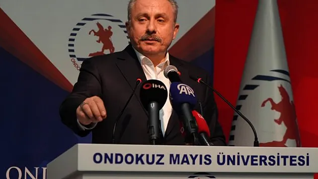 'Yeni anayasa ihtiyacı Türkiye'de hala devam ediyor'