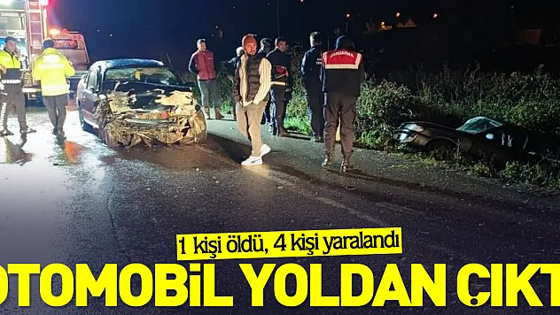 Otomobil yoldan çıktı