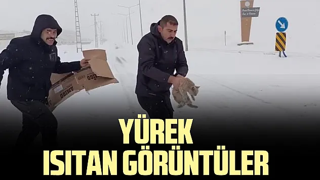 YÜREK ISITAN GÖRÜNTÜLER