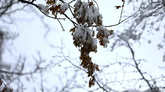 İlçe Merkezlerinde etkili kar yağışı