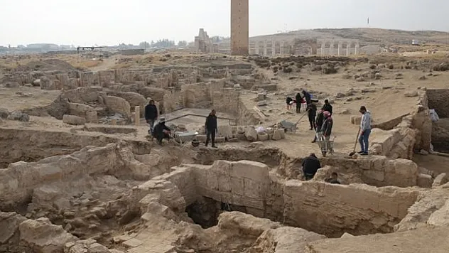 Harran gün yüzüne çıkarıldı