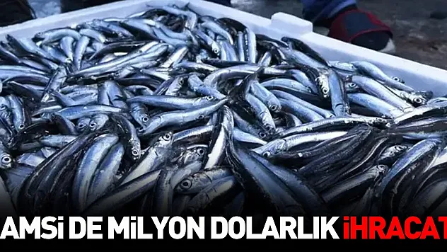 Hamsi de milyon dolarlık ihracat!