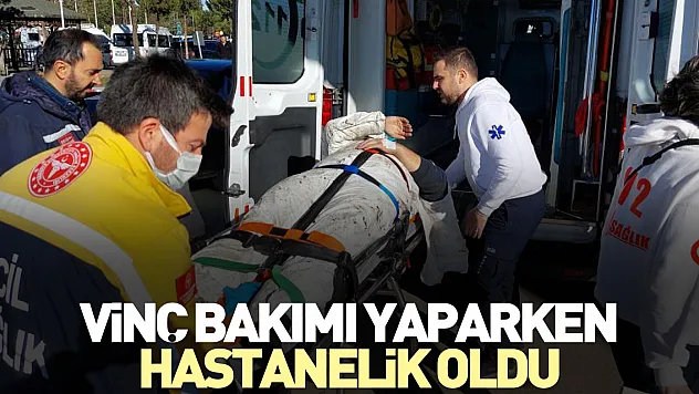 Vinç bakımı yaparken hastanelik oldu