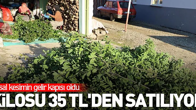 Kilosu 35 TL'den satılıyor