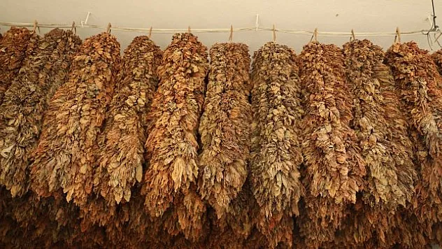 'En az 450 TL olması gerekiyor'