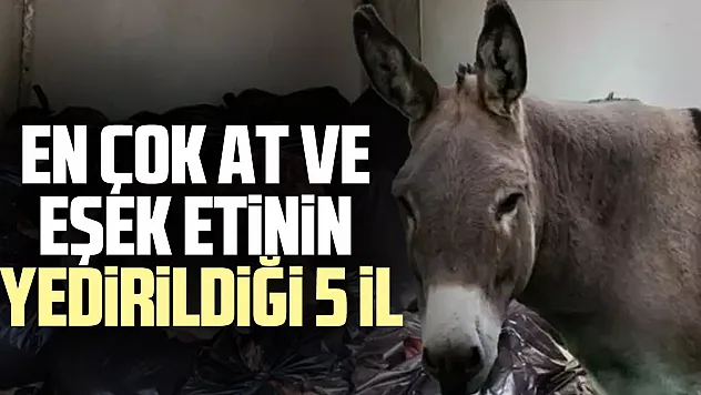en çok at ve eşek etinin yedirildiği 5 il