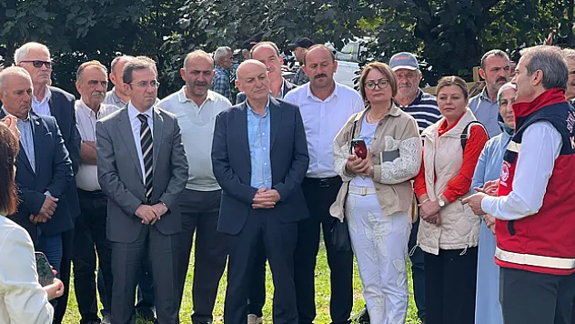 Kokarca zararlısı ile mücadele sürüyor