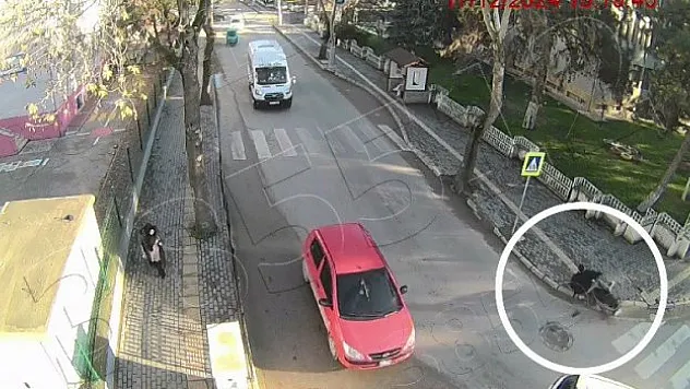 Kazanın görüntüsü ortaya çıktı