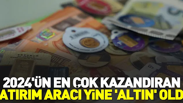 2024'ün en çok kazandıran yatırım aracı