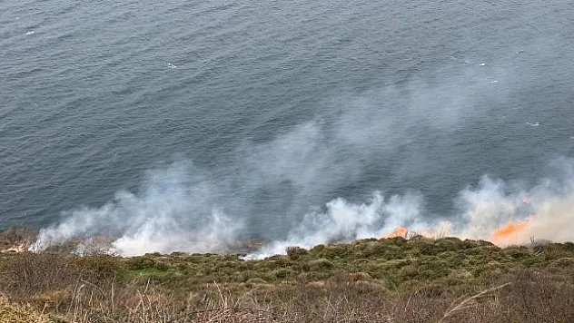 20 dönüm alan zarar gördü